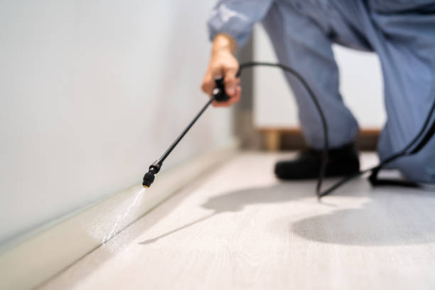 Licensed Pest Control service in Independent Hill, VA - Show Me Pest Control