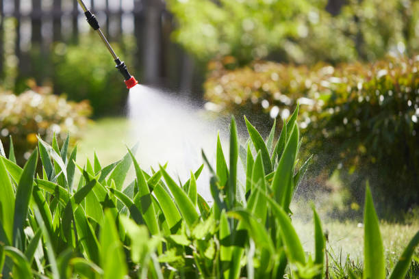 24/7 Emergency Wasp Removal experts in Independent Hill, VA