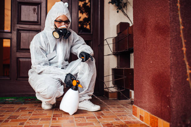 Reliable Wasp Removal contractor in Independent Hill, VA by Show Me Pest Control